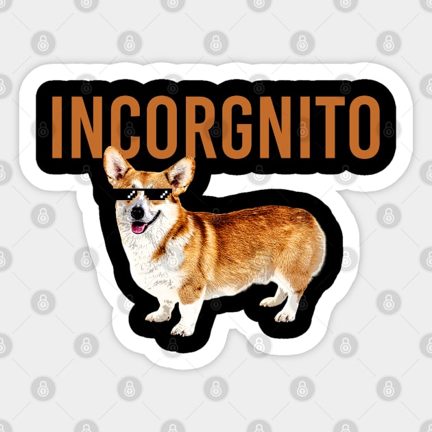 Incorgnito Sticker by Animalloova